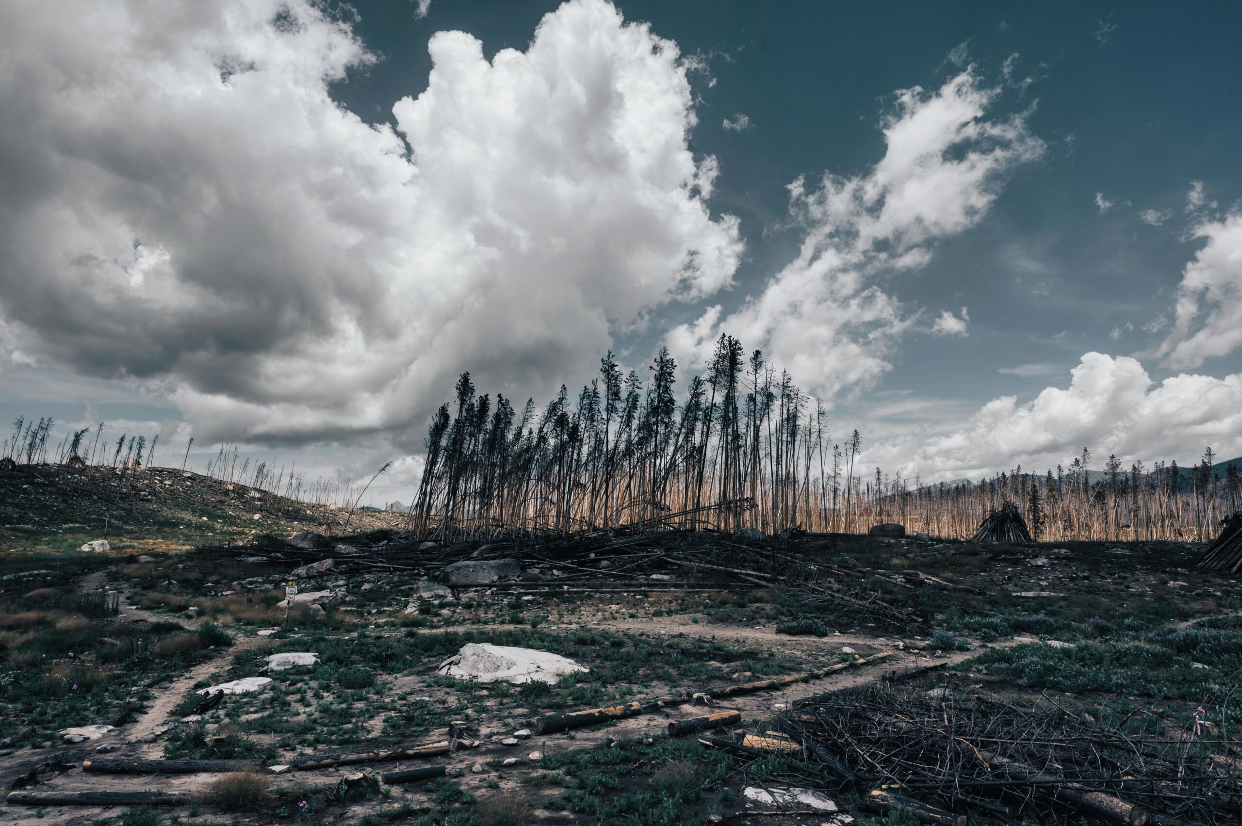 Ireland warned of more severe weather events with rainfall & record wind