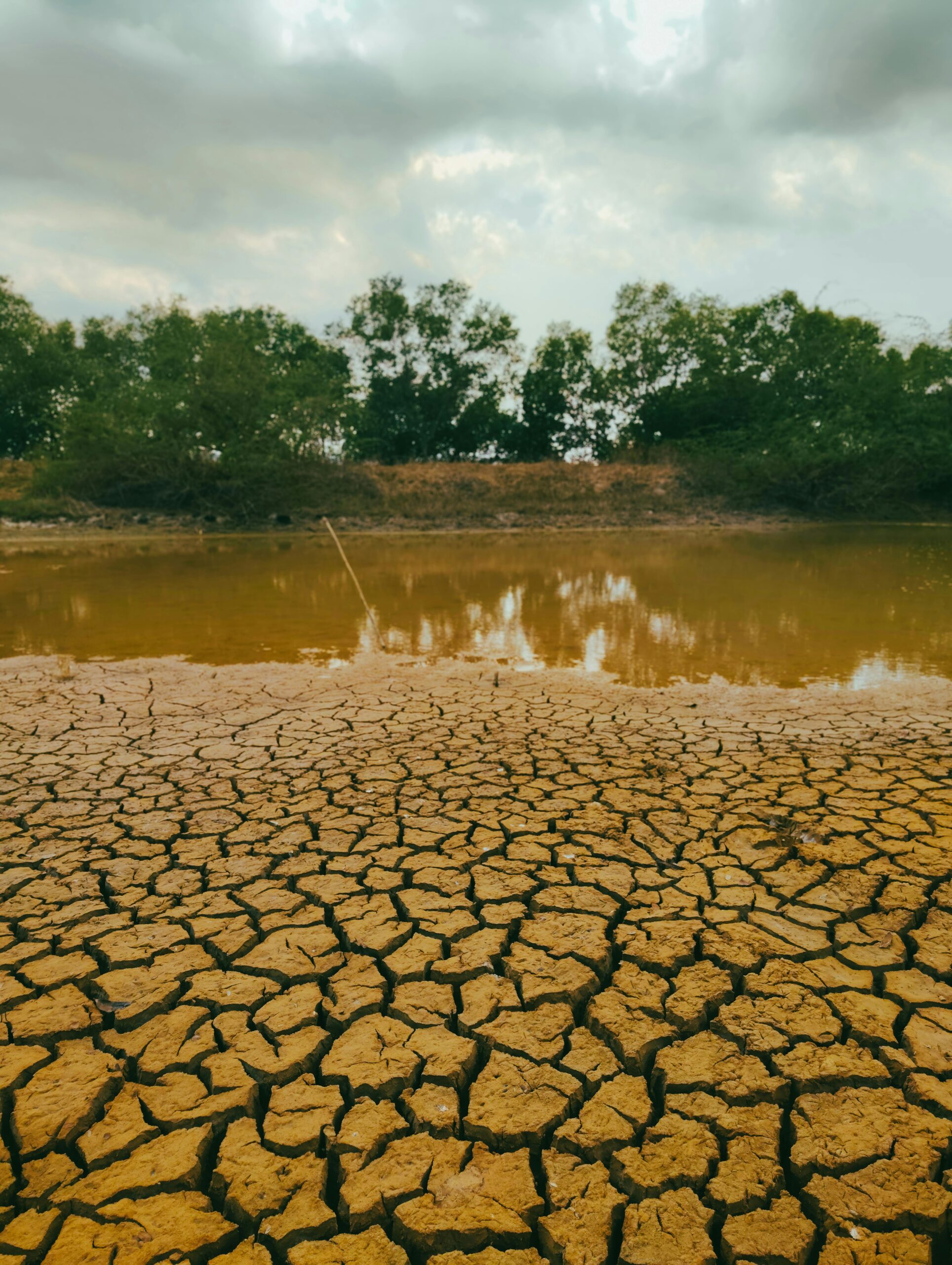 Climate Change and Extreme Weather Events