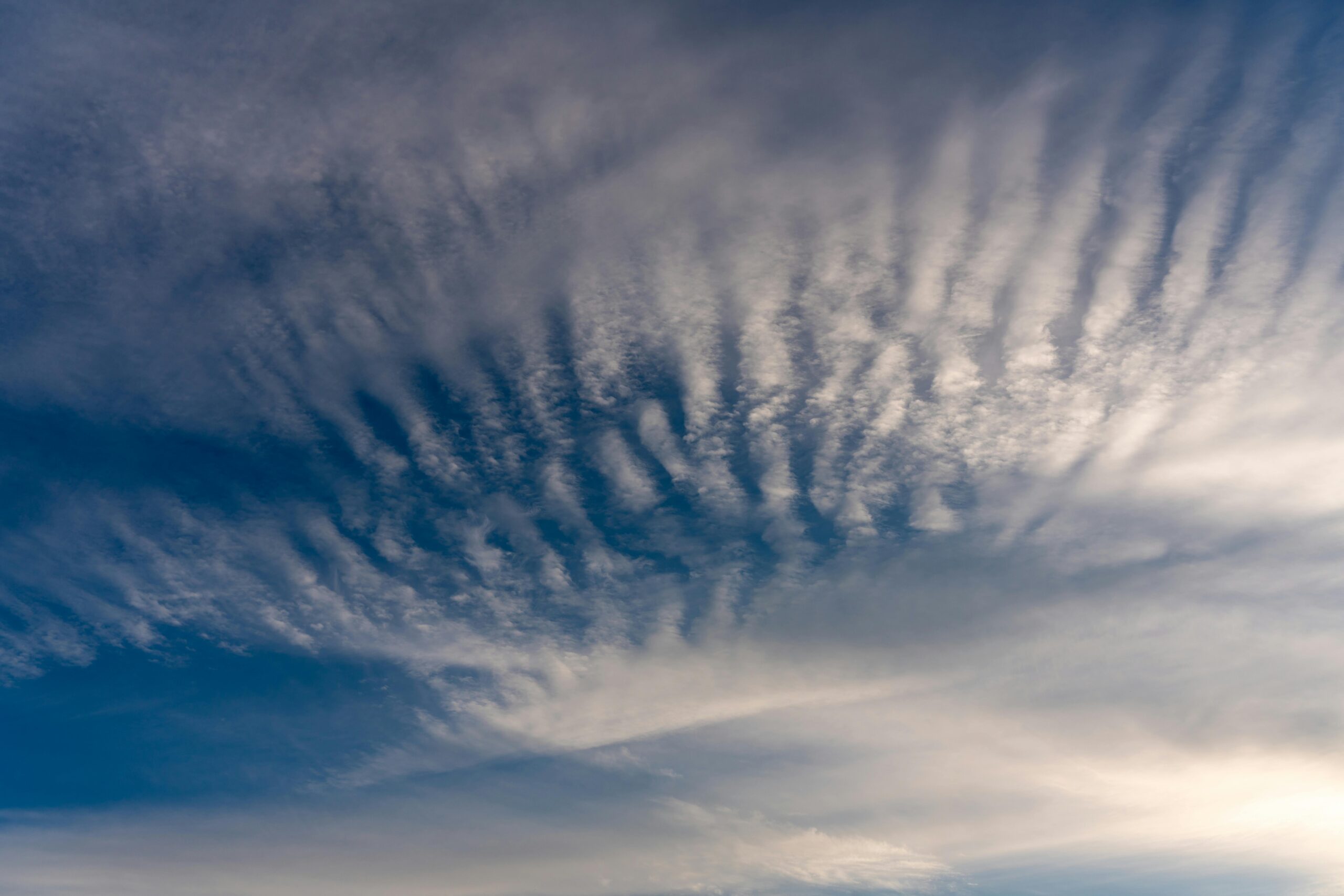 Heatwave scorching US west ‘virtually impossible’ without climate crisis